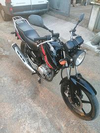 Yamaha YBR 125 - 2013