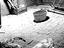 Immagine 24