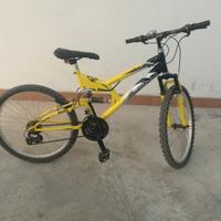 Bici