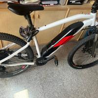 Bici  elettrica Rochrider