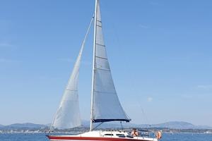 Stag 292 (versione crociera dello Stag 29)