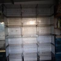 batteria modulare su carrello di 15 gabbie cova 