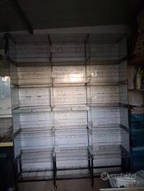 batteria modulare su carrello di 15 gabbie cova 