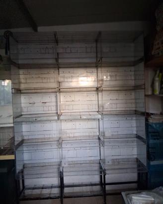 batteria modulare su carrello di 15 gabbie cova 