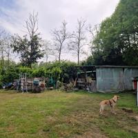 Terreno agricolo 808mq - Zona lago Maggiore