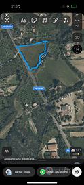 TERRENO AGRICOLO