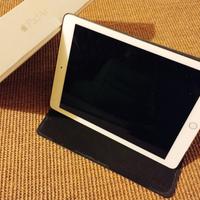 iPad Air 2