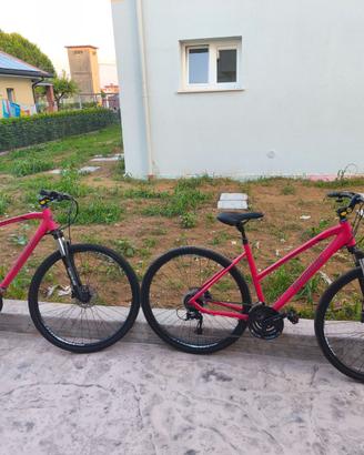 Biciclette nuove