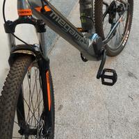 bici elettrica 