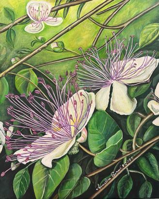 Quadro acrilico su tela “fiori del cappero”