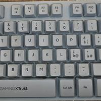 Tastiera Gaming Trust GXT