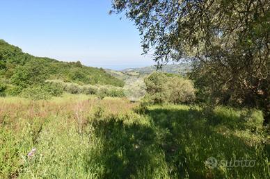 TER. AGRICOLO A TORCHIARA