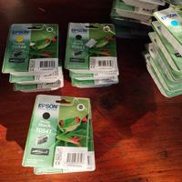 lotto cartuccie stampante Epson 