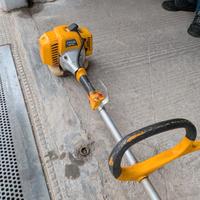 Decespugliatore a scoppio