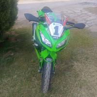 Kawasaki Ninja 300 - 2016