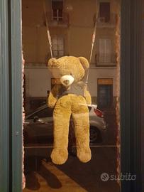 orso di peluche