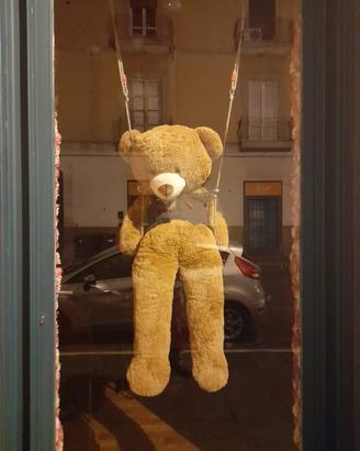 orso di peluche