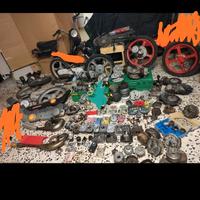 ciao si bravo boxer grillo eco CBA boss super brav