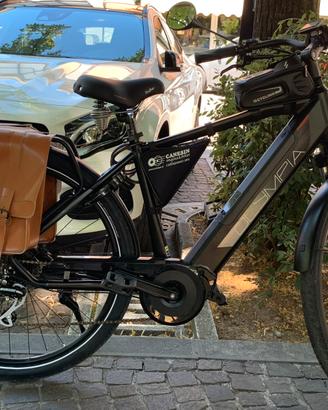 Bicicletta elettrica