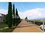 Immagine 25