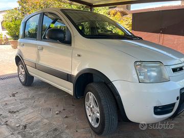 Panda4*4