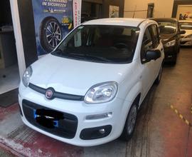 Fiat Panda 1.2 EasyPower Easy NEO PATENTATI Super 