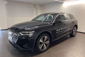 Audi Q8 e-tron Q8 Audi Q8 55 e-tron quattro 3...