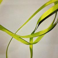 10 MT di Nastro Grosgrain da 6mm Verde Mela