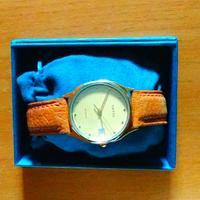 Orologio Wyler Vetta di Classe da collezione