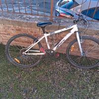 mtb da 20