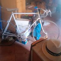 BICI DA CORSA ADORNI 