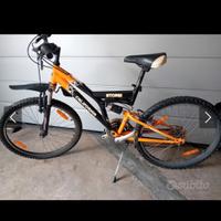 Mountain Bike California