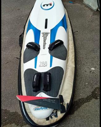 Tavole da surf