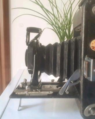Folding  camera vintage Ensigne Regular 1914 