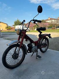 motorino 50