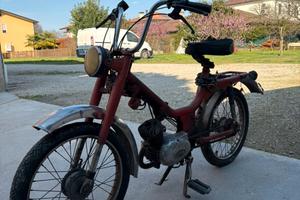 motorino 50