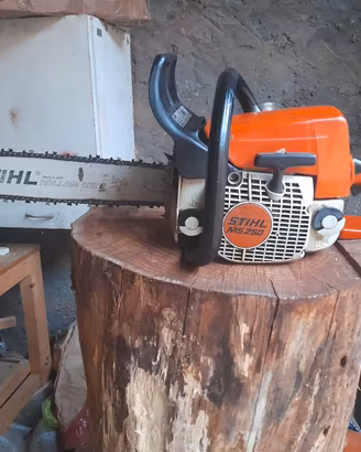 Motosega Stihl MS 250