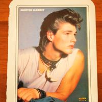 Cartolina Foto "Morten Harket" Gruppo A-AH Anni 80