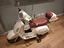 Immagine 1