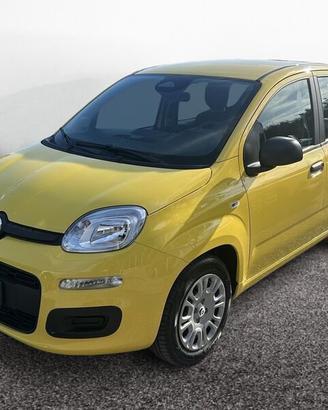 FIAT Pandina HYBRID 1.0 65cv Hybrid Pop