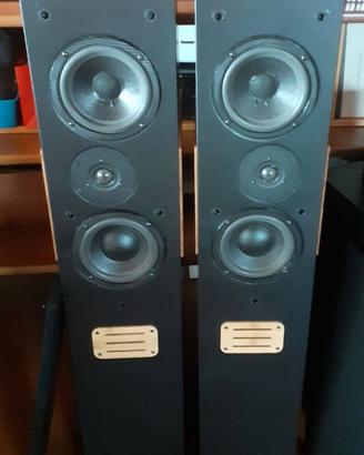 DIFFUSORI HI-END D. G. Audio trasmission line.