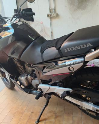 Honda Transalp 650 Rally Touring del 2006