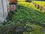 Immagine 11
