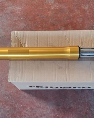 Forcella Ohlins Speed Triple  rx