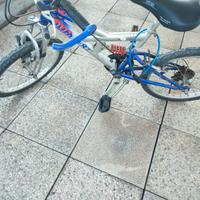 Bicicletta