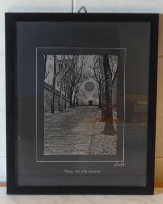 Quadro stampa su alluminio