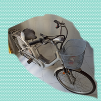 Bicicletta Bici elettrica come nuova