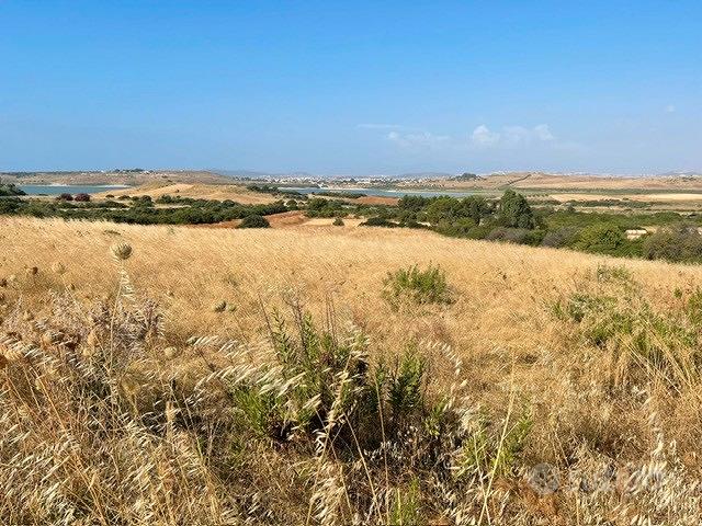 Terreno agricolo di 6500 mq pressi simbirizzi - Vista 4