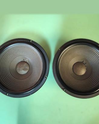 Coppia Woofer JBL da 25 cm