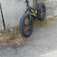 Fat bike 